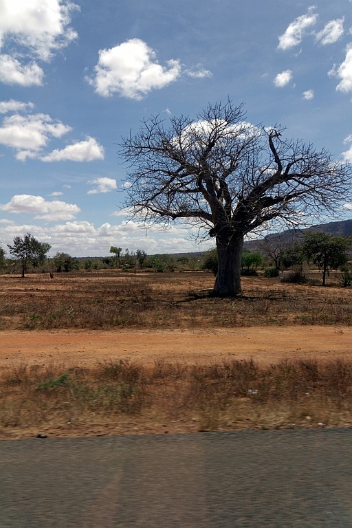 Kenia (272).jpg